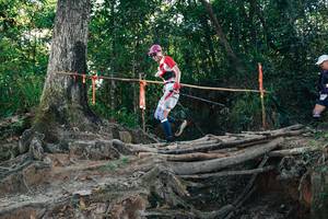 BIB: 
                            <button type="button" onclick="openModal(27755901)" class="btn btn-primary btn-sm float-right btn-popup" data-toggle="modal" data-target=".modal-high-quality">
                        <i class="fas fa-shopping-cart"></i> Add to Cart
                    </button>
                                            <button type="button" onclick="isThisMe(27755901, true)" class="btn btn-success btn-sm float-right btn-popup btn-isme hidden" data-toggle="tooltip" data-placement="bottom" title="นี่คือรูปของคุณใช่ไหม คลิกที่นี่เพื่อเอาเข้าอัลบั้ม">
                        <i class="fas fa-plus"></i> Add to album
                    </button>
                    <button type="button" onclick="isThisMe(27755901, false)" class="btn btn-warning btn-sm float-right btn-popup btn-isnotme hidden">
                        <i class="fas fa-ban"></i> Remove from album
                    </button>